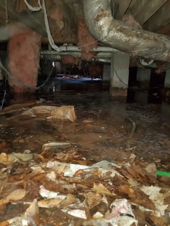 Crawl space flood assessment for Commercial Water Damage Restoration in Pendleton