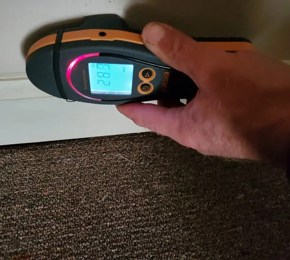 Moisture detection at baseboard during Mold Inspection & Testing in Pendleton